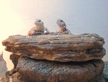 Buddies