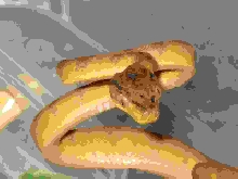 atb8