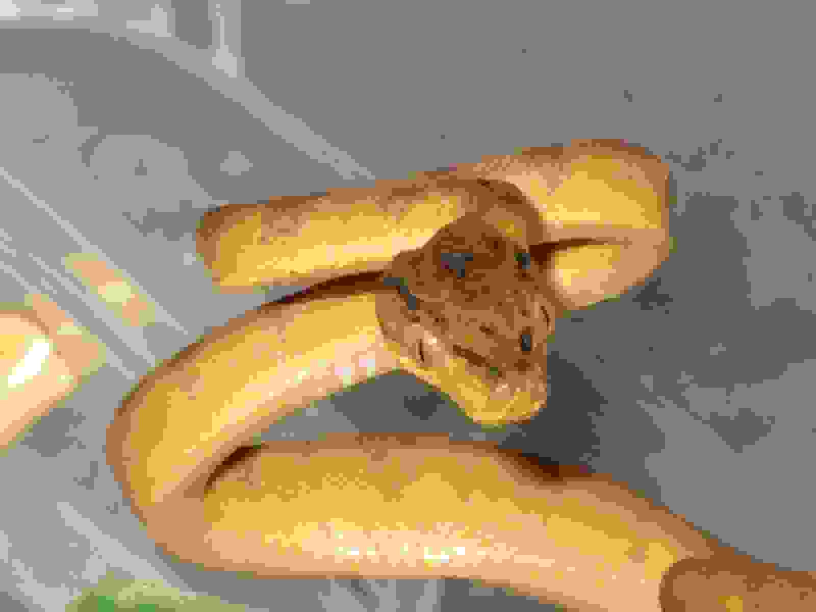 atb8
