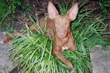 Kisamie' in da grass