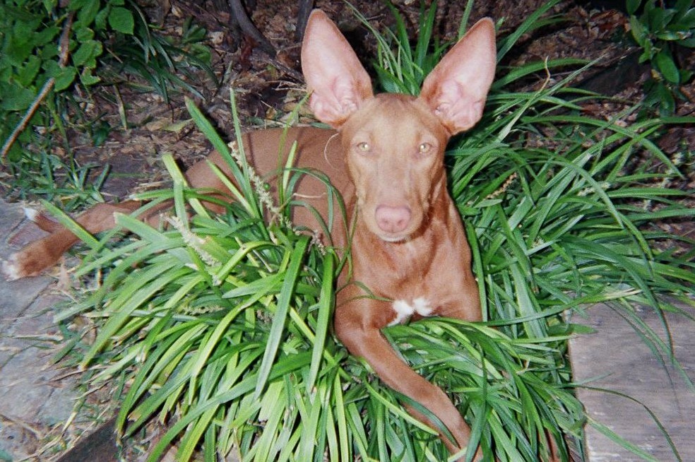 Kisamie' in da grass