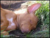Test photo posting