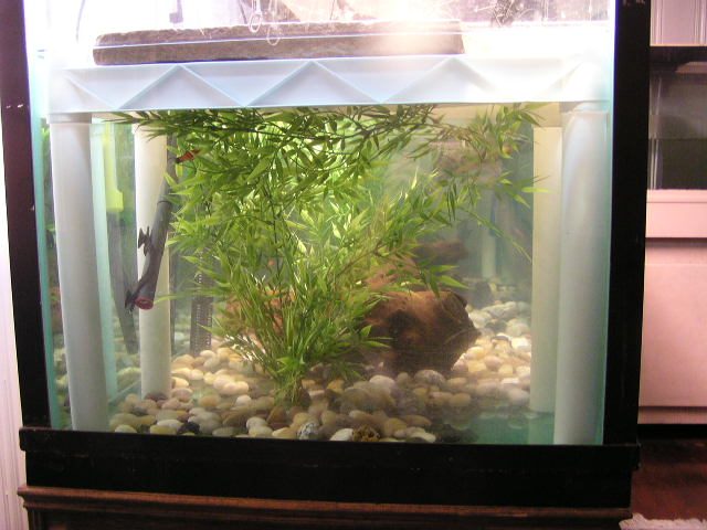 300 gallon