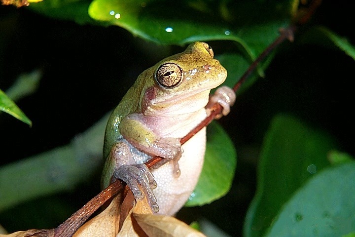 Hangin around