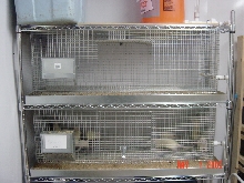 New Rat Rack