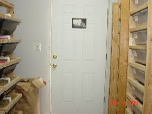 A pic of my snake room