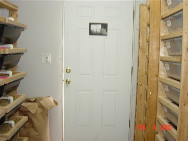 A pic of my snake room