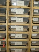 My snake racks