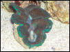 Saltwater Photos