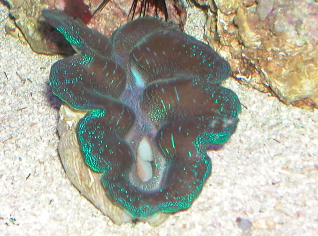 Saltwater Photos