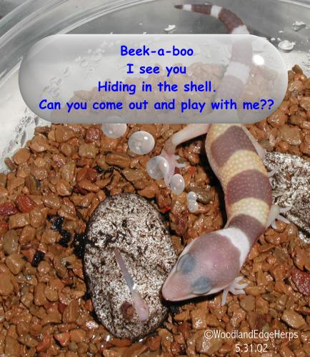 Can you come out and play?