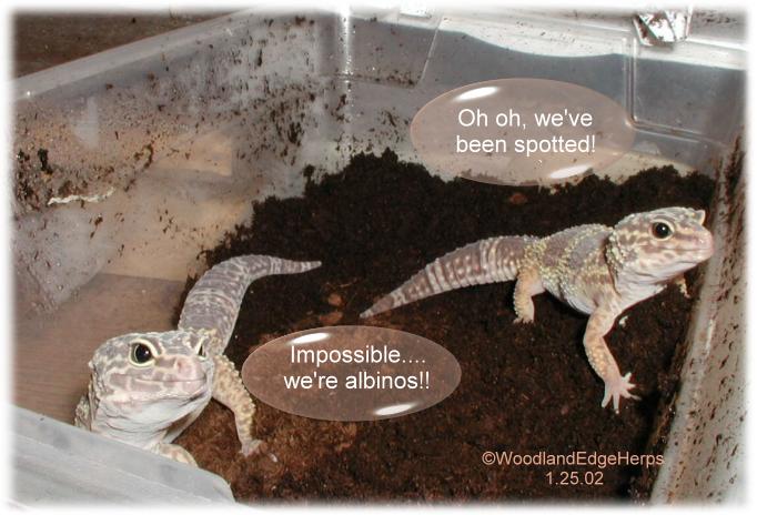 We've been SPOTTED!