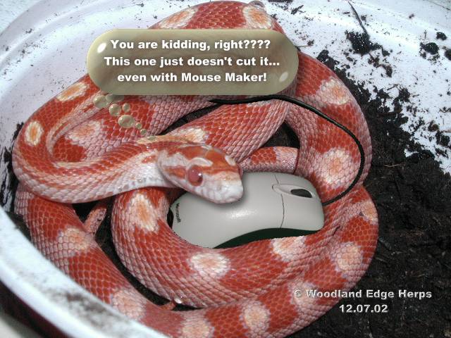 Be careful what you order for dinner