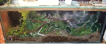 My red tail boas cage