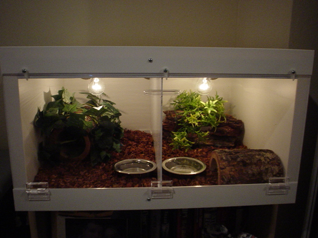 Precision cage
