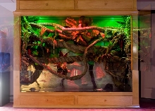 jworlds cage pic