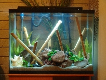 37 tall, new setup