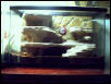 My cool set up