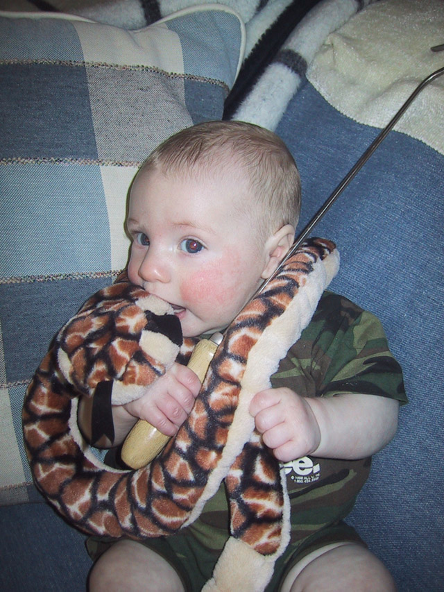 Snakebyte Jr