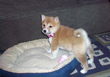Checking out her bed.