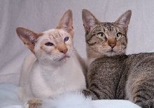 Nebbe and daughter Xena