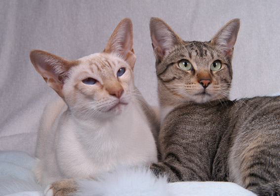 Nebbe and daughter Xena
