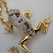 Gold poison frog
