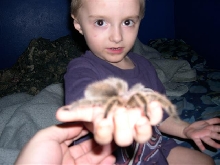 Little guy