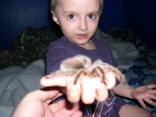 Little guy