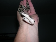 Little guy in hand