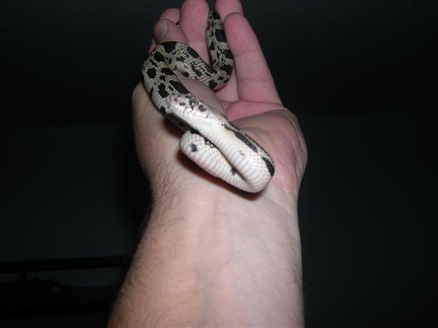 Little guy in hand