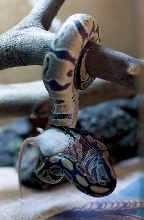 Royal "Tree" Python [Photo 2 of 4]