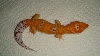 BellM1