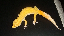 RM1