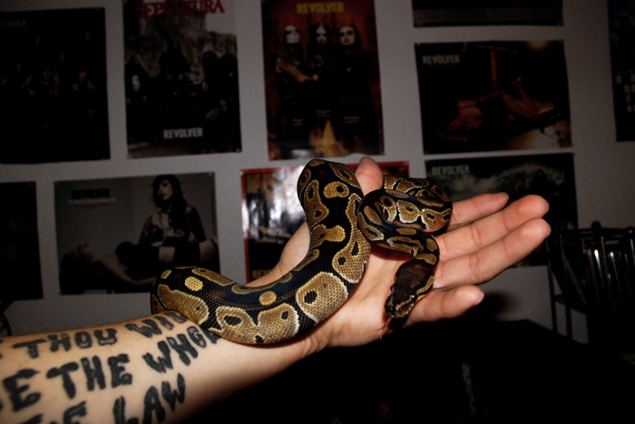 Ball once more