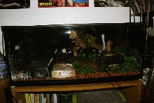 Ball's current tank