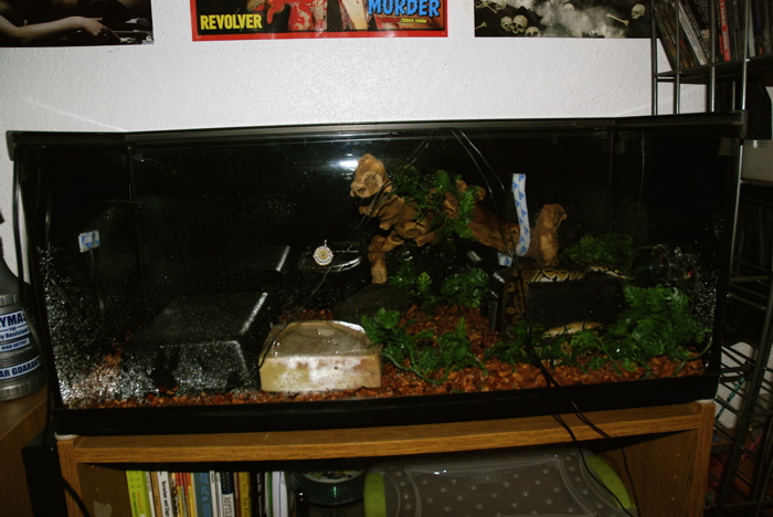 Ball's current tank