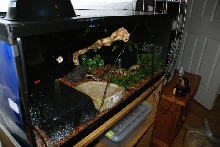another view ov balls tank