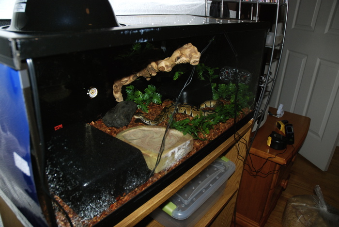 another view ov balls tank