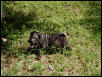 sweety1