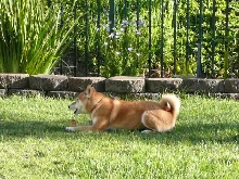 Beni with treat