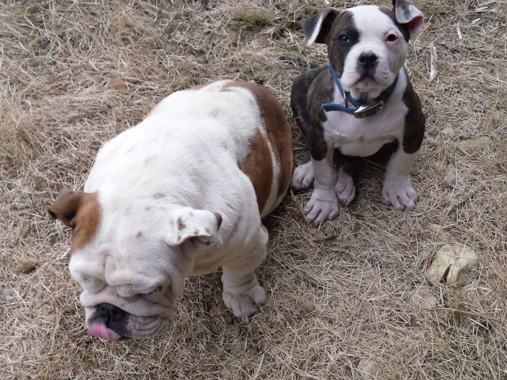 Rowdy & Bonnie