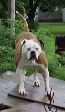 Rowdy's Dad