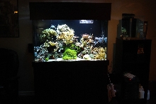 my set up