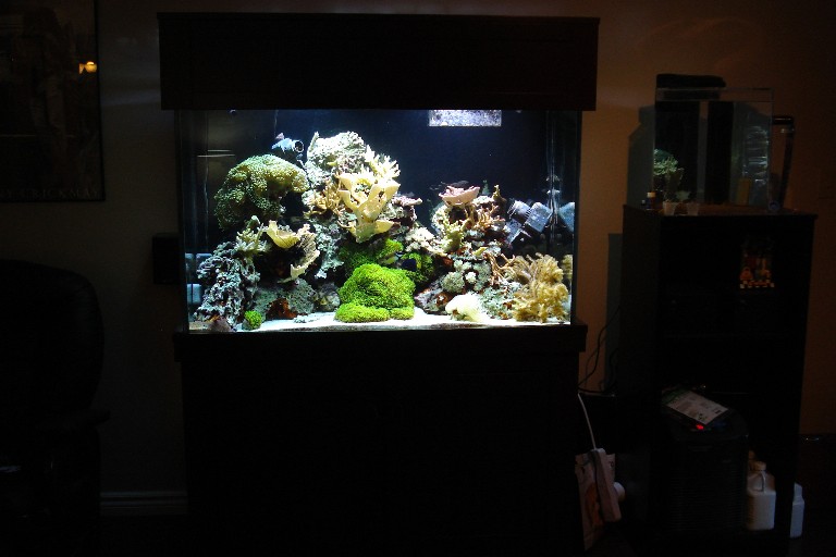 my set up