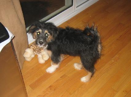 eddie
