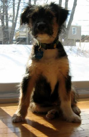 eddie 2