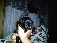 my baby