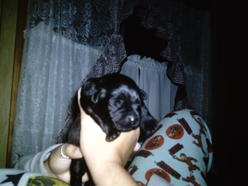 my baby