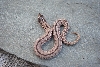 2011 stripped anacondas